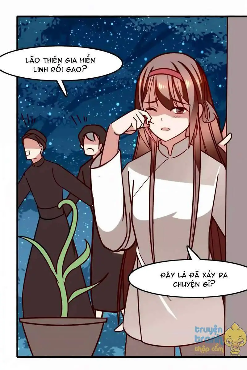 Cẩm Lý Quy Nettruyen ZZZ Chương 20 Page 5