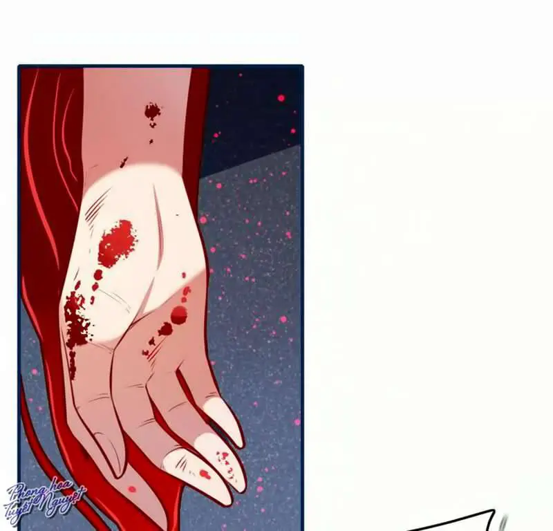 Cẩm Lý Quy Nettruyen ZZZ Chương 22 Page 5