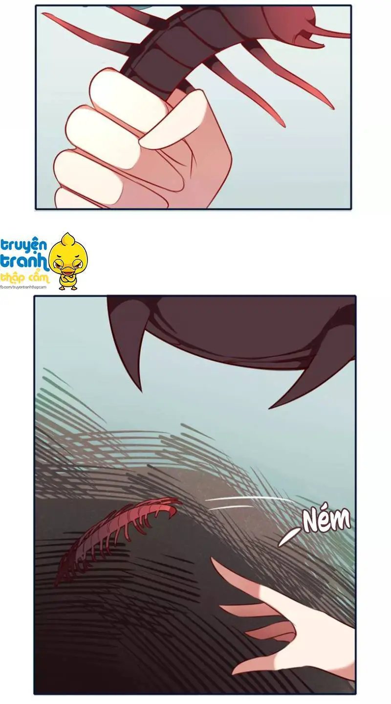 Cẩm Lý Quy Nettruyen ZZZ Chương 9 Page 22