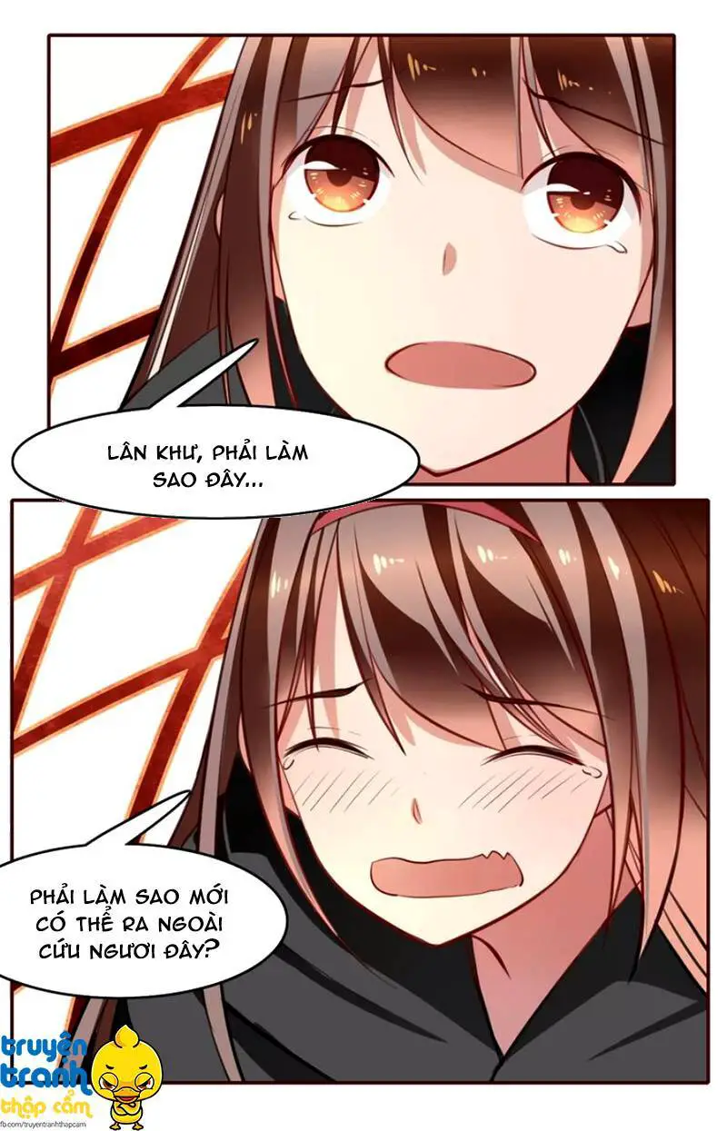 Cẩm Lý Quy Nettruyen ZZZ Chương 13 Page 23