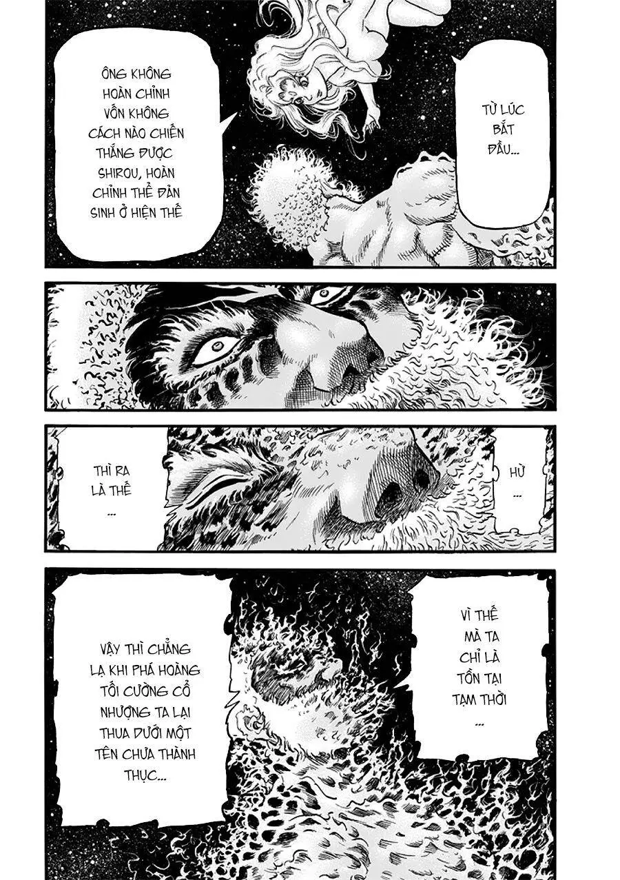 Ryuuroden - Chú Bé Rồng Nettruyen ZZZ Chương 288 Page 19
