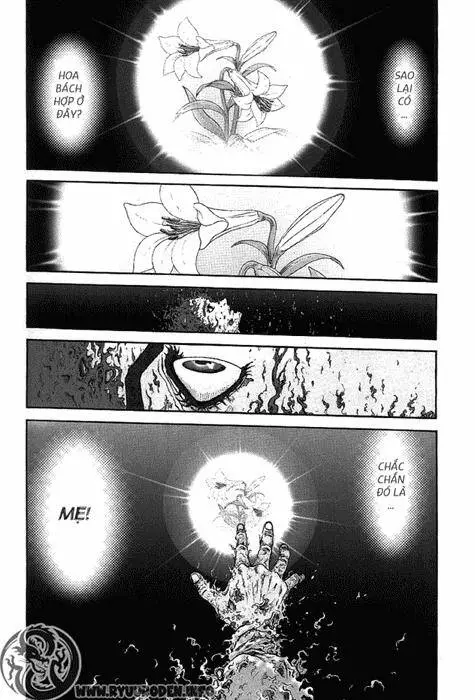 Ryuuroden - Chú Bé Rồng Nettruyen ZZZ Chương 116 Page 20