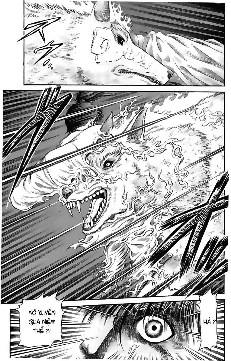 Ryuuroden - Chú Bé Rồng Nettruyen ZZZ Chương 106 Page 3