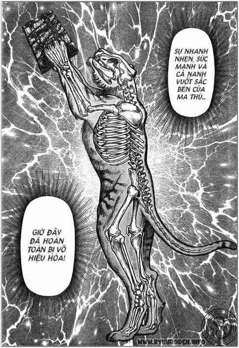 Ryuuroden - Chú Bé Rồng Nettruyen ZZZ Chương 203 Page 11
