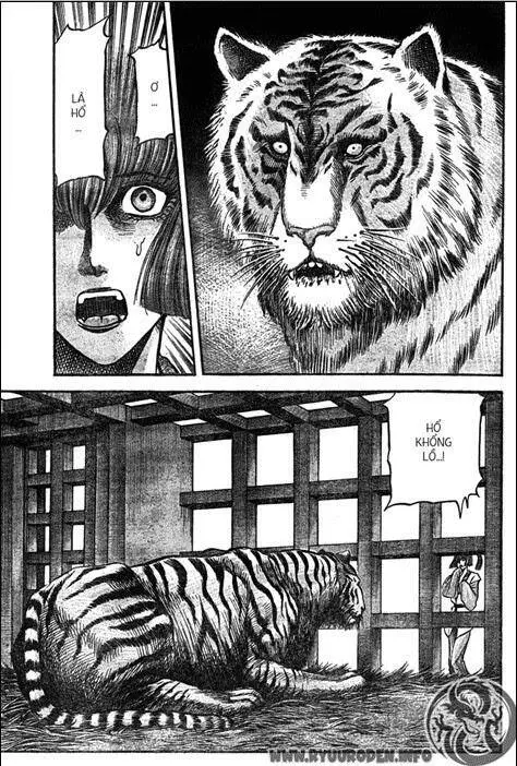 Ryuuroden - Chú Bé Rồng Nettruyen ZZZ Chương 196 Page 20