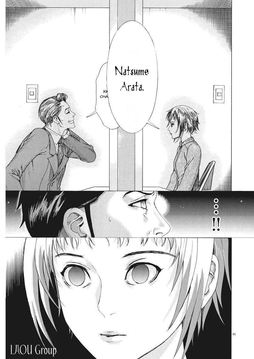 Đám Cưới Của Natsume Arata Nettruyen ZZZ Chương 1 Page 48