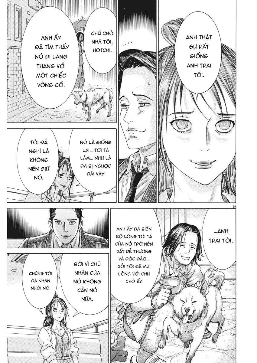 Đám Cưới Của Natsume Arata Nettruyen ZZZ Chương 8 Page 21