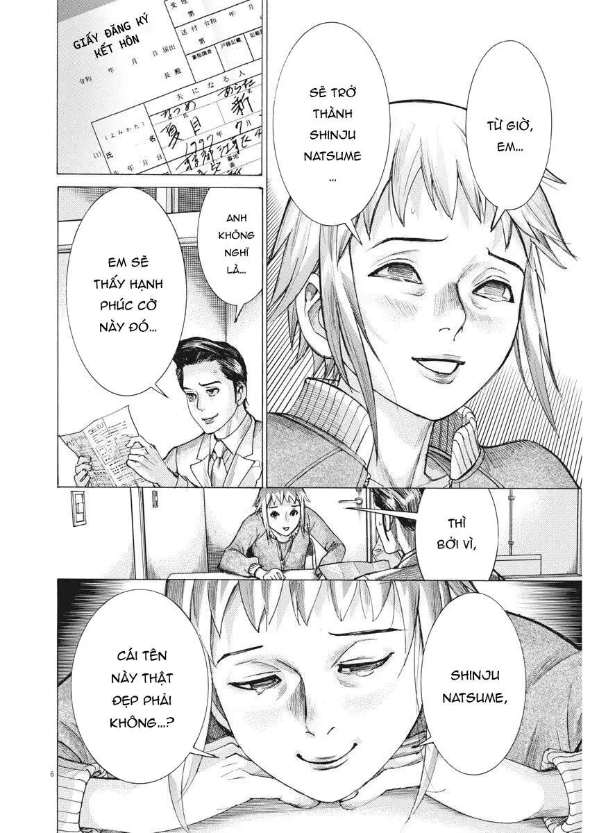 Đám Cưới Của Natsume Arata Nettruyen ZZZ Chương 19 Page 7
