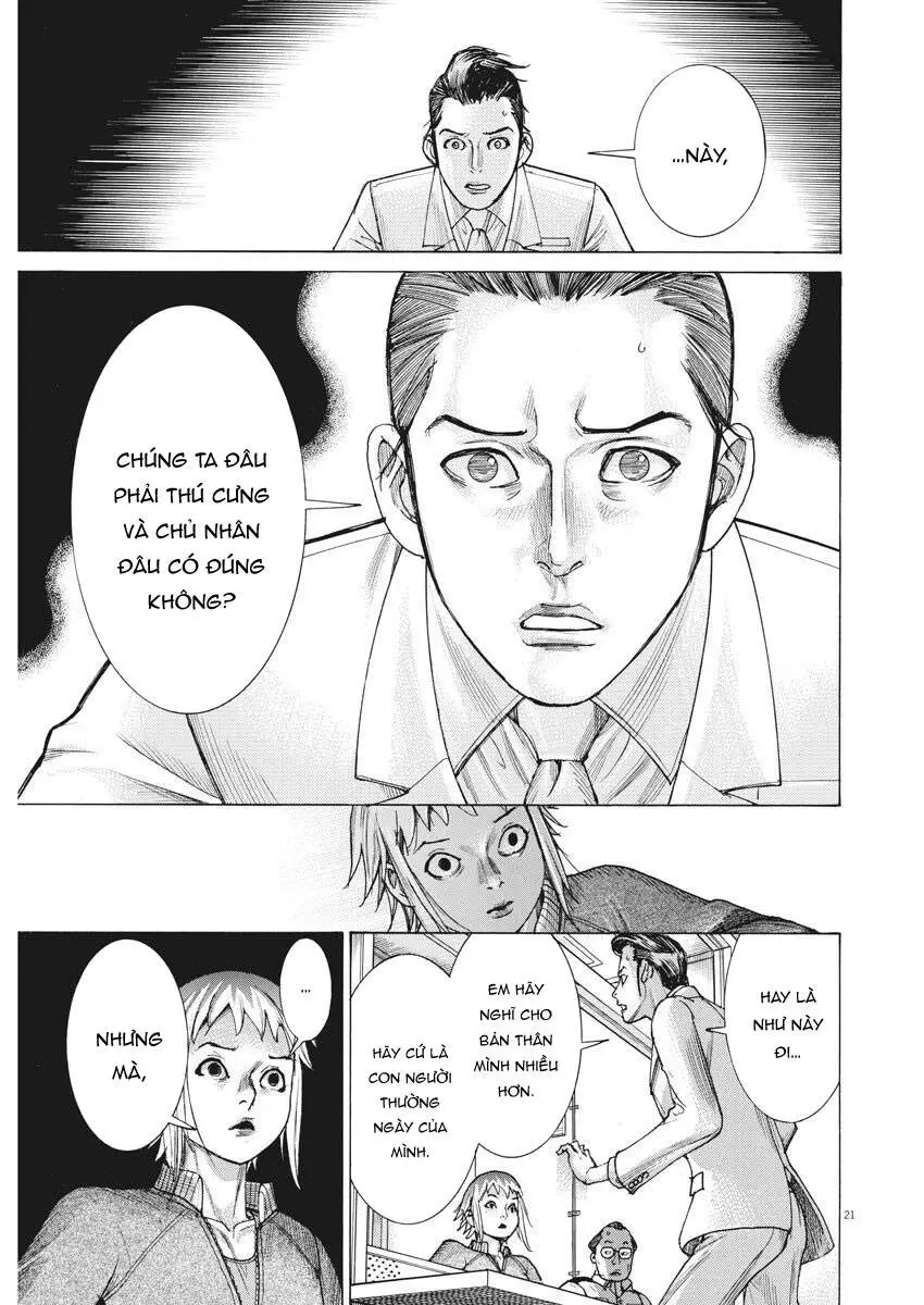Đám Cưới Của Natsume Arata Nettruyen ZZZ Chương 19 Page 22