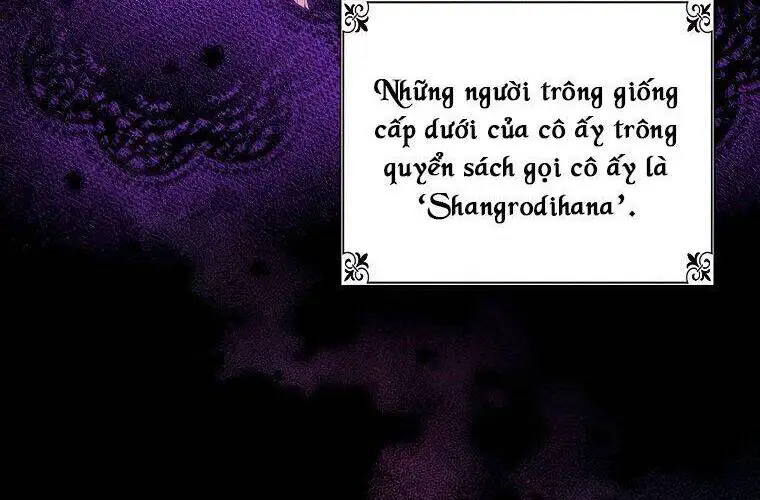 Giai Điệu Của Nhành Cây Khô Héo Nettruyen ZZZ Chương 2 Page 36