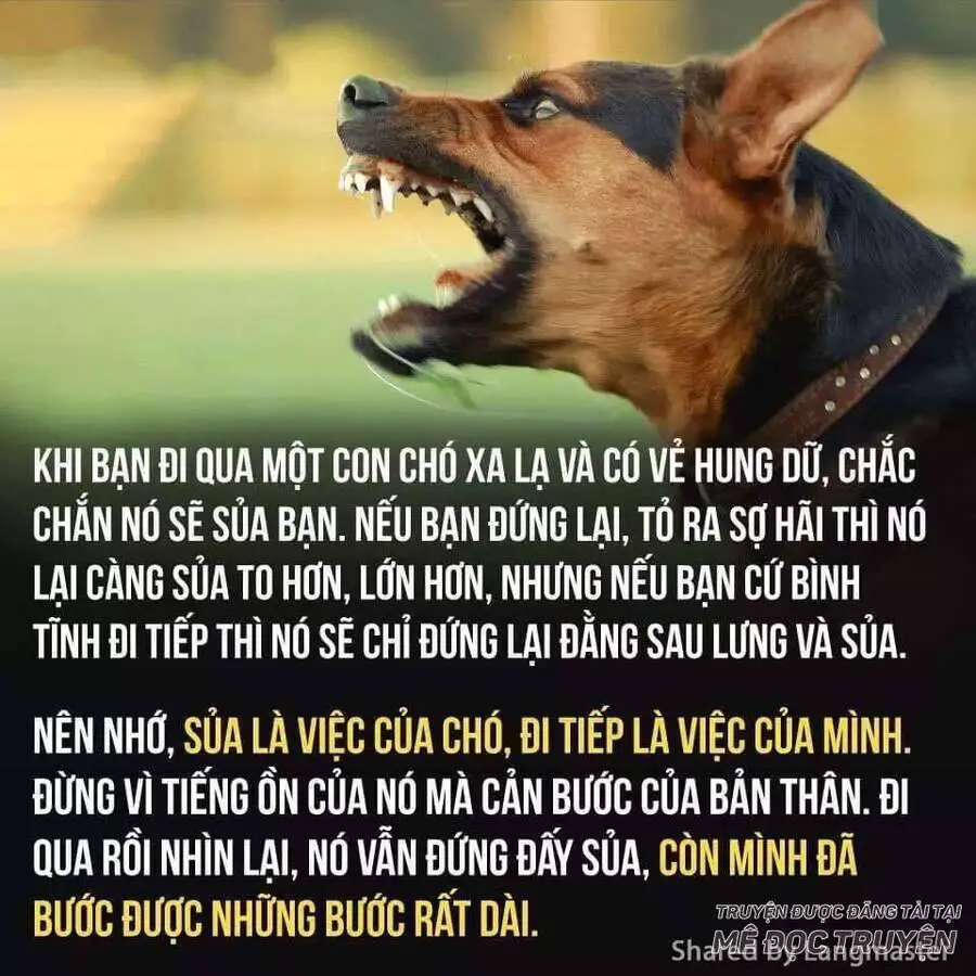 Lão Đại Xuyên Không Thành Tiên Nữ Nettruyen ZZZ Chương 47.1 Page 31