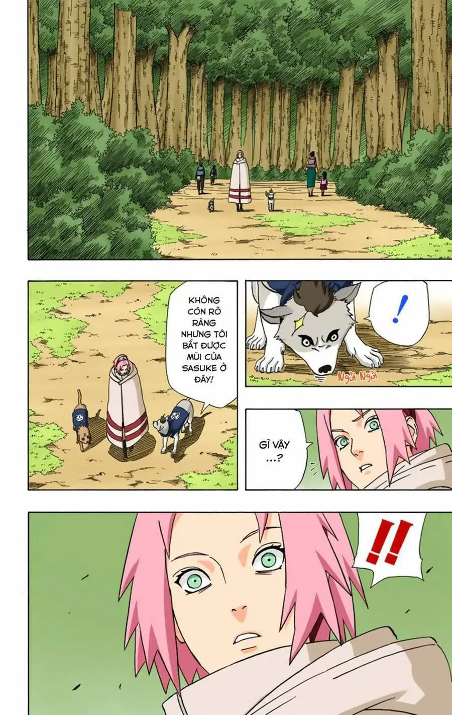 Naruto Full Màu Nettruyen ZZZ Chương 355 Page 14