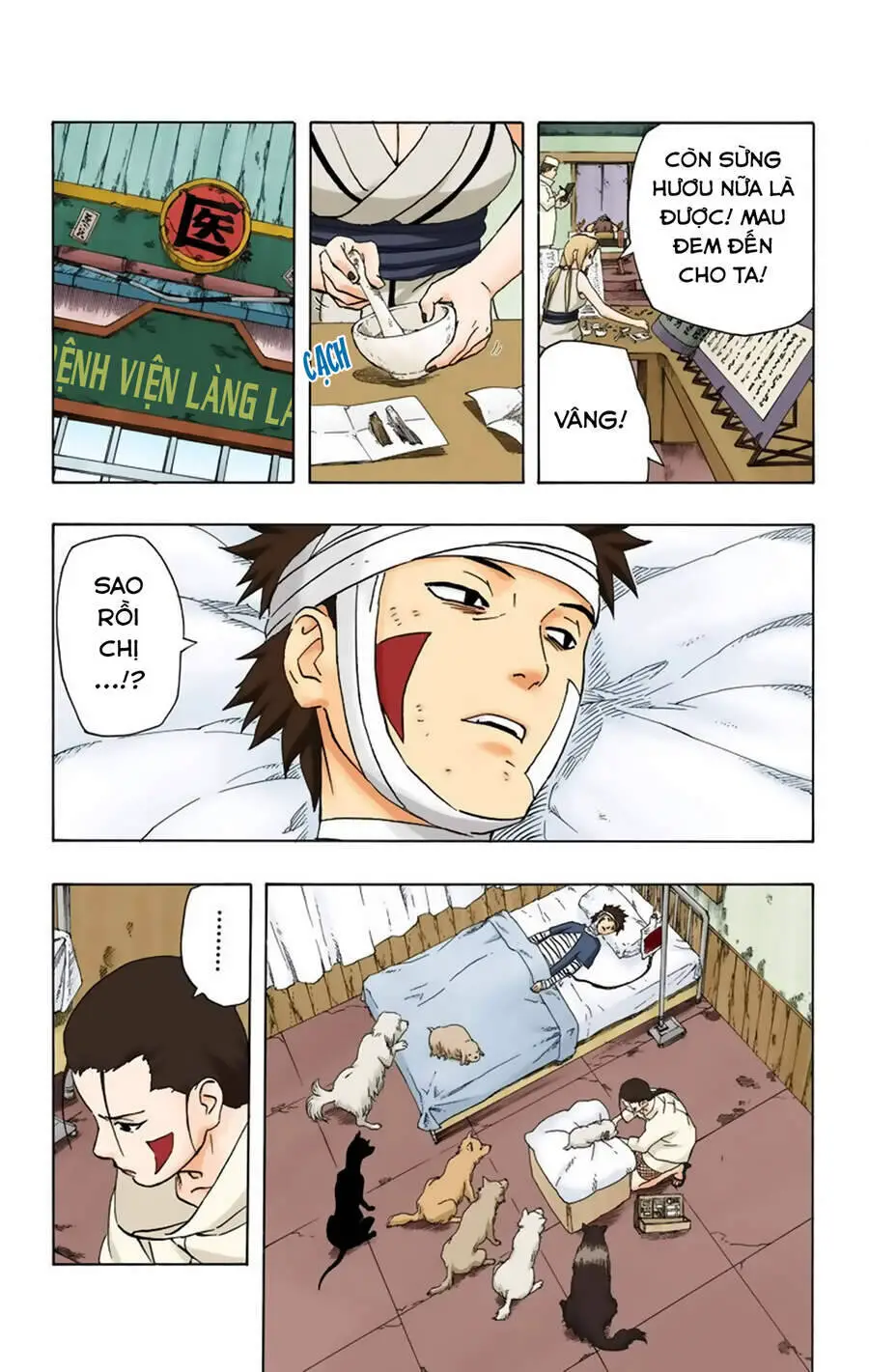 Naruto Full Màu Nettruyen ZZZ Chương 235 Page 8