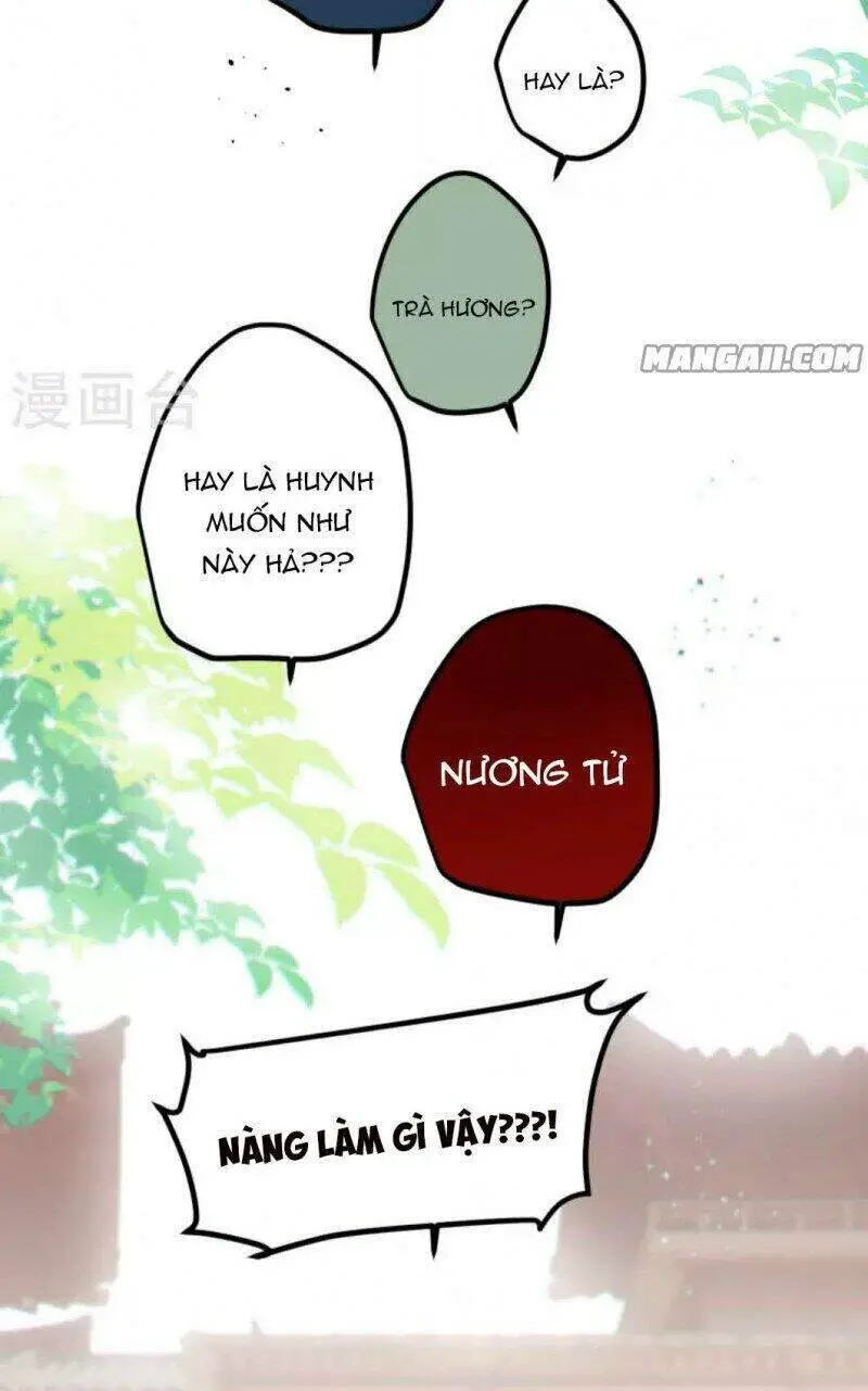 Công Chúa Pháo Hôi Muốn Tùy Tiện Đến Cùng Nettruyen ZZZ Chương 67 Page 5