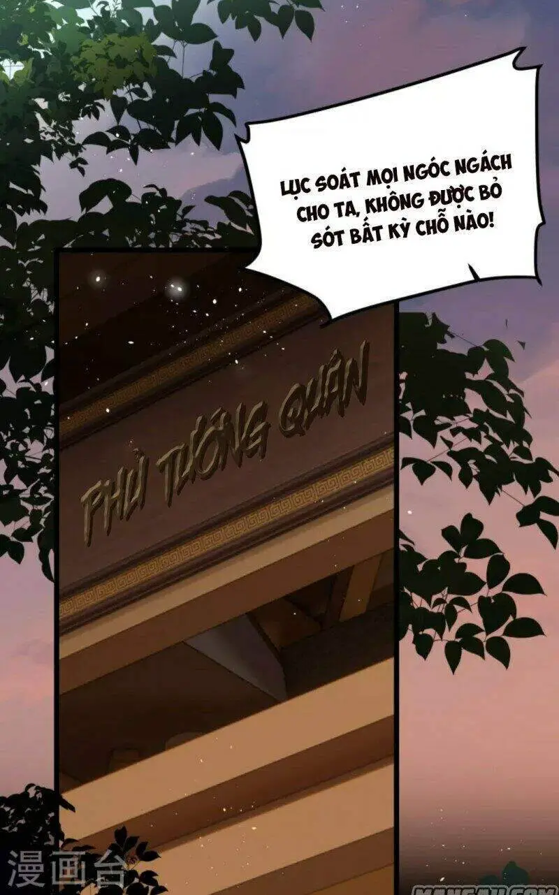 Công Chúa Pháo Hôi Muốn Tùy Tiện Đến Cùng Nettruyen ZZZ Chương 67 Page 17