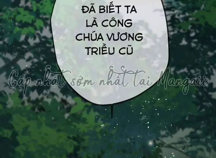 Công Chúa Pháo Hôi Muốn Tùy Tiện Đến Cùng Nettruyen ZZZ Chương 43 Page 8