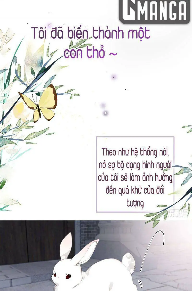 Công Chúa Pháo Hôi Muốn Tùy Tiện Đến Cùng Nettruyen ZZZ Chương 26 Page 3