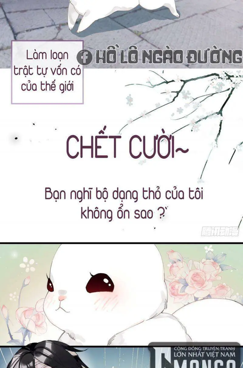 Công Chúa Pháo Hôi Muốn Tùy Tiện Đến Cùng Nettruyen ZZZ Chương 26 Page 4