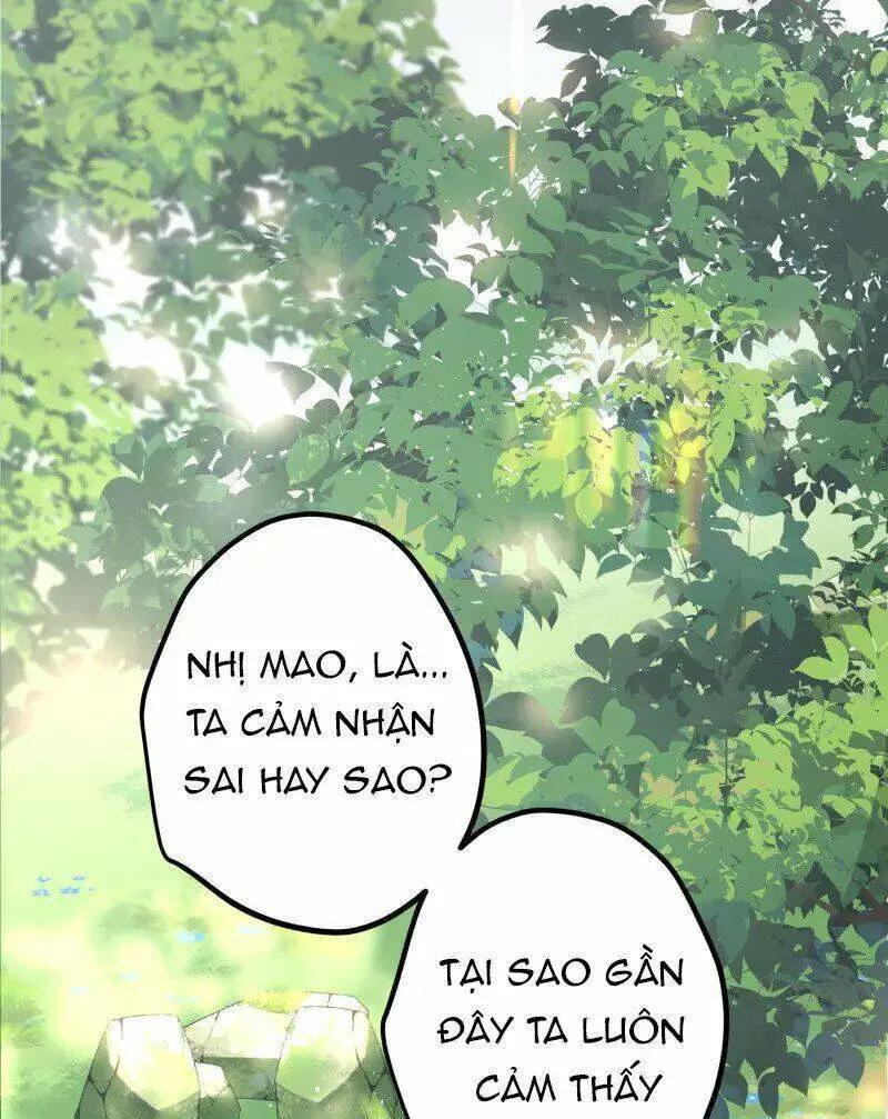 Công Chúa Pháo Hôi Muốn Tùy Tiện Đến Cùng Nettruyen ZZZ Chương 76 Page 5