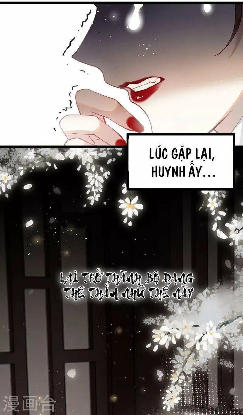 Công Chúa Pháo Hôi Muốn Tùy Tiện Đến Cùng Nettruyen ZZZ Chương 78 Page 3