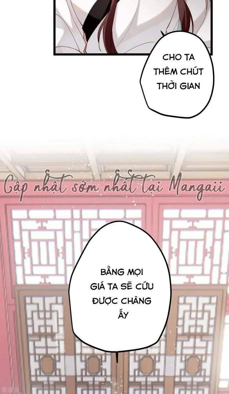 Công Chúa Pháo Hôi Muốn Tùy Tiện Đến Cùng Nettruyen ZZZ Chương 69 Page 15