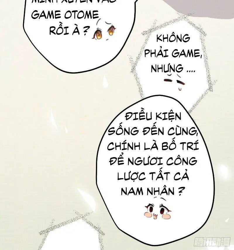 Công Chúa Pháo Hôi Muốn Tùy Tiện Đến Cùng Nettruyen ZZZ Chương 3 Page 30