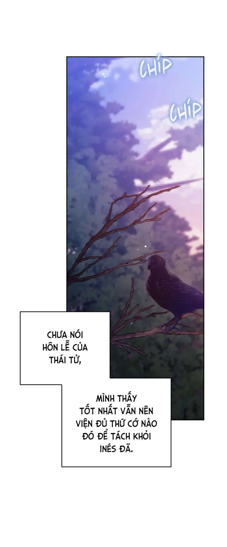 Cuộc Hôn Nhân Này Dù Sao Cũng Sẽ Tan Vỡ Mà Thôi Nettruyen ZZZ Chương 73 Page 31