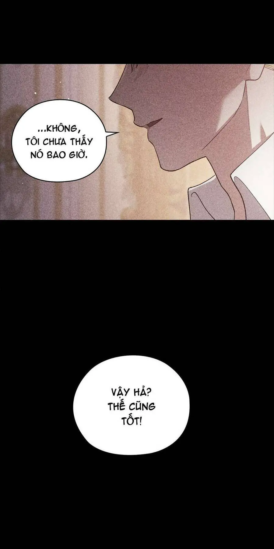 Cuộc Hôn Nhân Này Dù Sao Cũng Sẽ Tan Vỡ Mà Thôi Nettruyen ZZZ Chương 63 Page 97