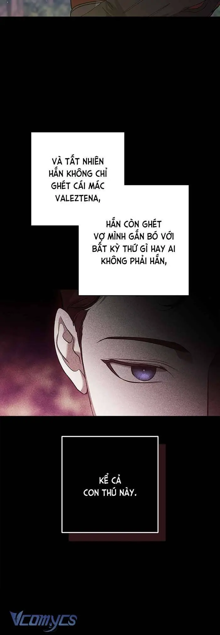 Cuộc Hôn Nhân Này Dù Sao Cũng Sẽ Tan Vỡ Mà Thôi Nettruyen ZZZ Chương 62 Page 28
