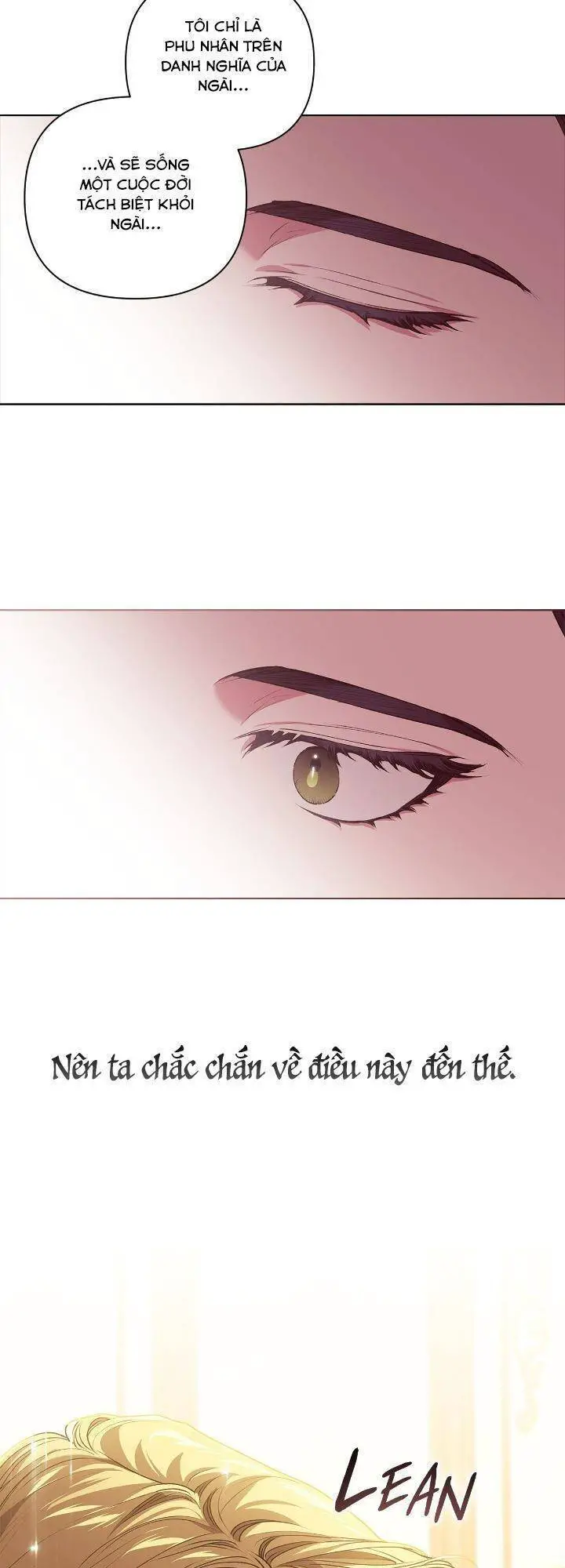 Cuộc Hôn Nhân Này Dù Sao Cũng Sẽ Tan Vỡ Mà Thôi Nettruyen ZZZ Chương 8 Page 41