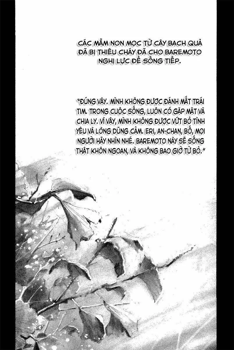 Rainbow Nettruyen ZZZ Chương 92 Page 21