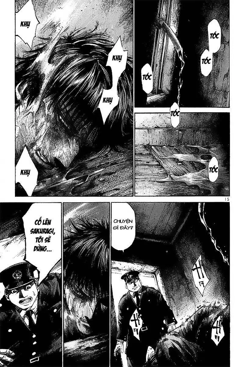 Rainbow Nettruyen ZZZ Chương 25 Page 17