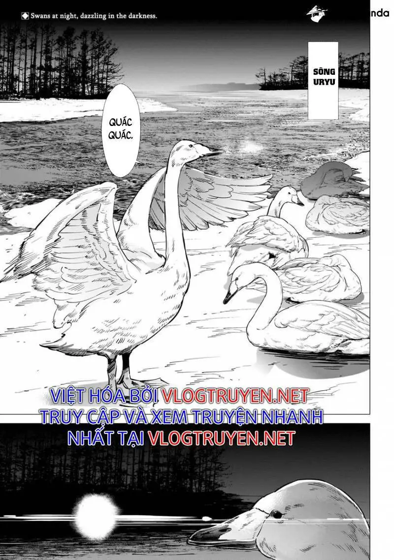 Cơn Sốt Vàng Sau Chiến Tranh Nettruyen ZZZ Chương 224 Page 4