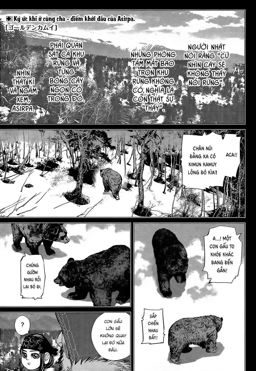 Cơn Sốt Vàng Sau Chiến Tranh Nettruyen ZZZ Chương 137 Page 4