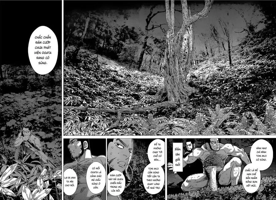 Cơn Sốt Vàng Sau Chiến Tranh Nettruyen ZZZ Chương 121 Page 13