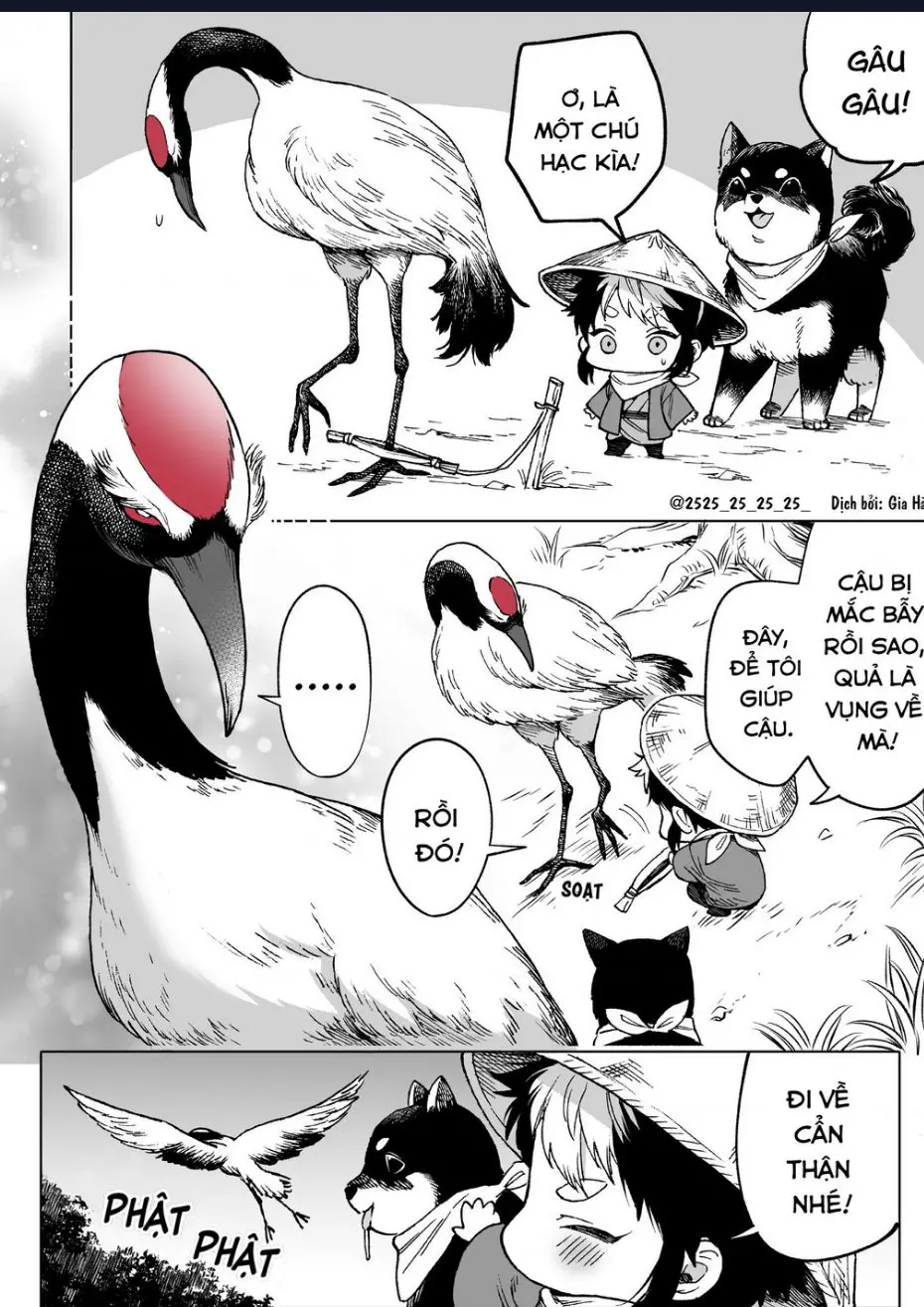 Oneshot Nhưng Lại Là Series Nettruyen ZZZ Chương 223 Page 1
