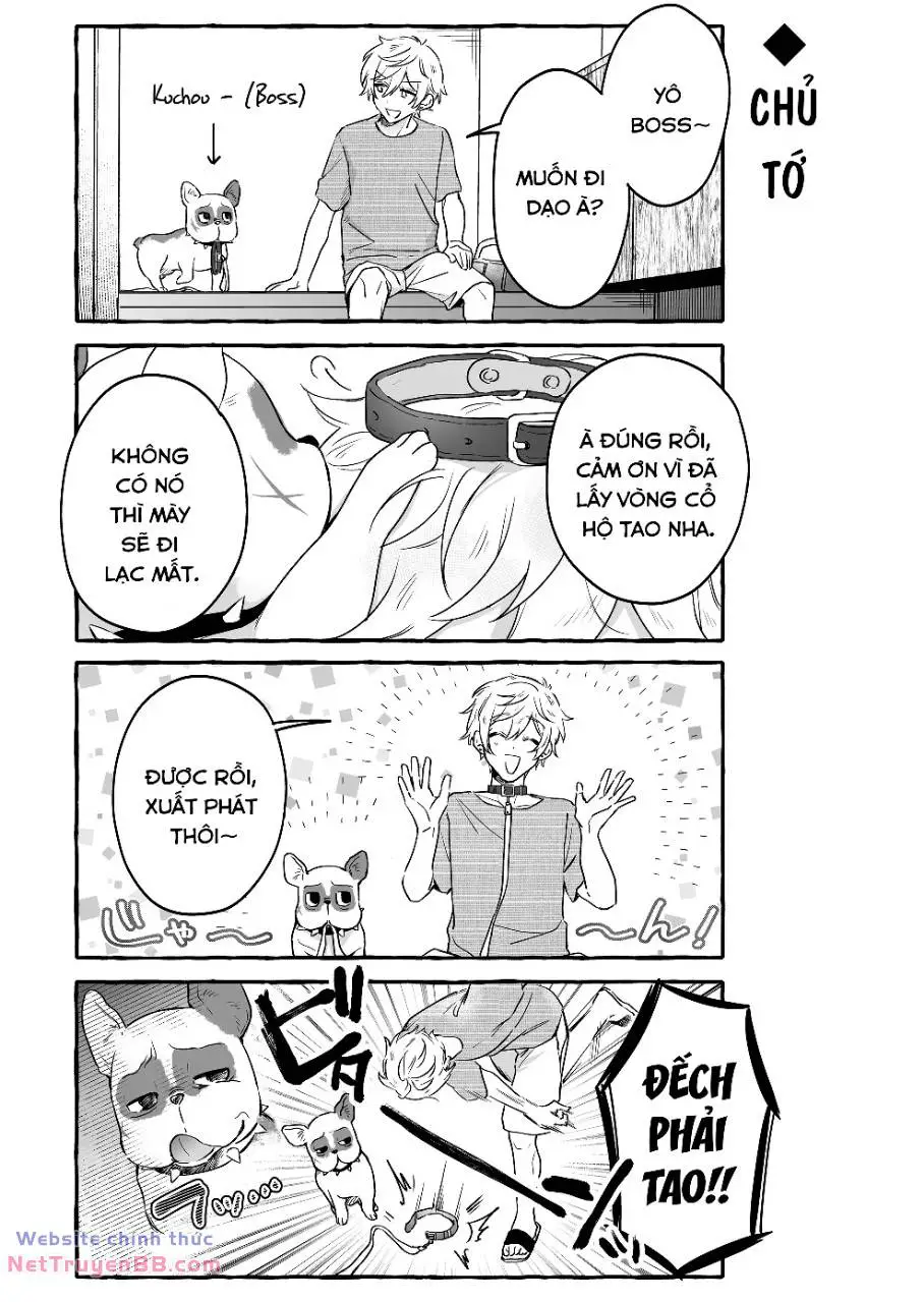 Damedol: Cô Idol Hậu Đậu Và Người Hâm Mộ Duy Nhất Trên Thế Giới Nettruyen ZZZ Chương 21 Page 9