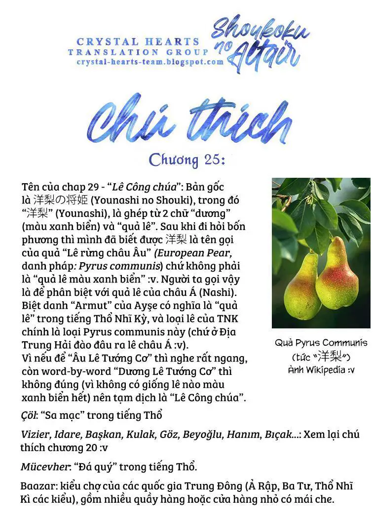 Shoukoku No Altair Nettruyen ZZZ Chương 25 Page 33