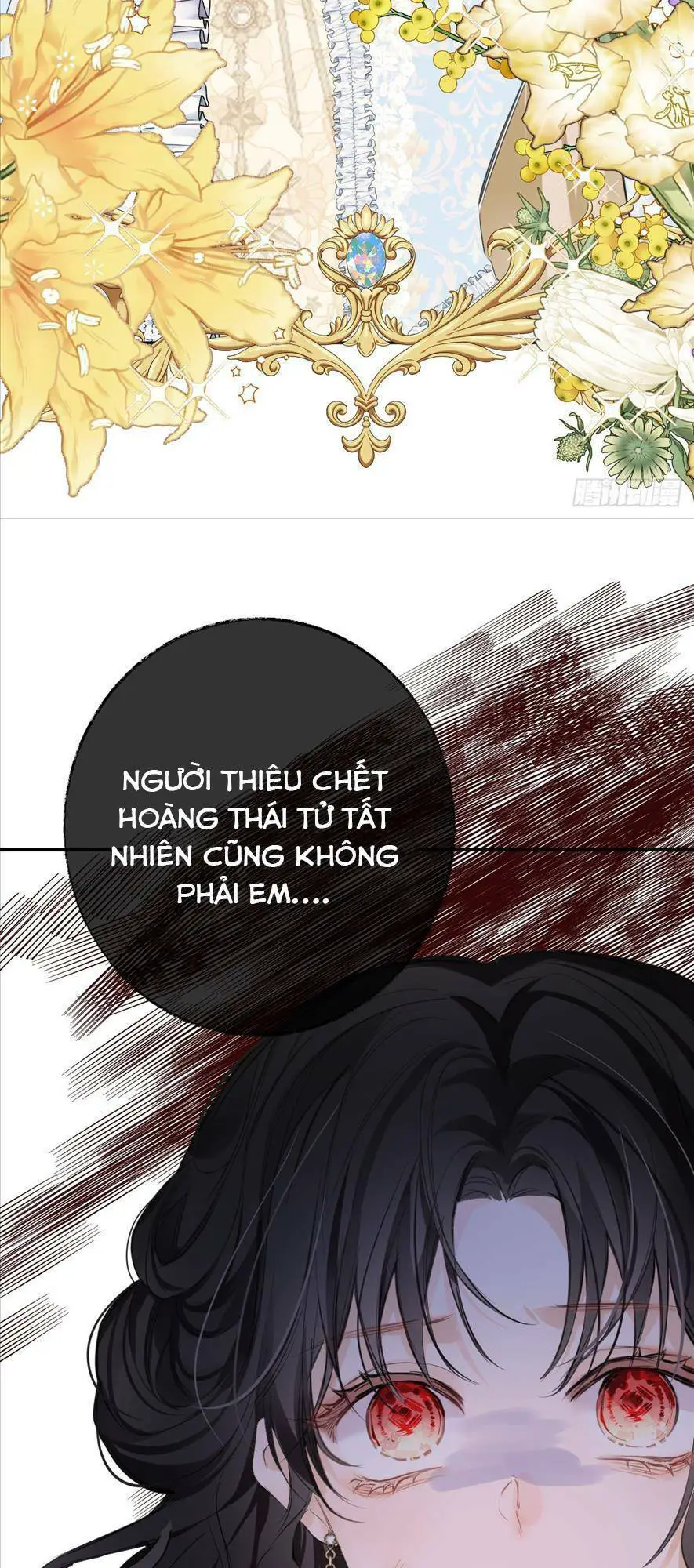 Phù Thuỷ Ác Độc Không Còn Lựa Chọn Nào Khác Ngoài Việc Trở Thành Ác Ma Nettruyen ZZZ Chương 1 Page 62