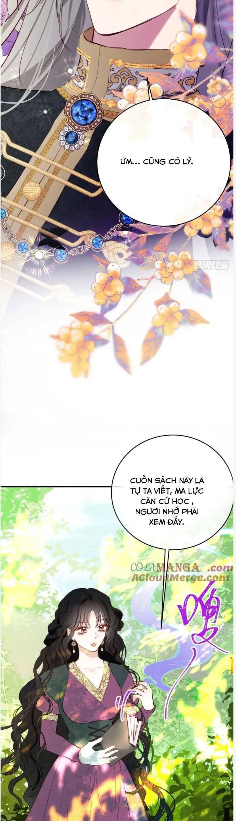 Phù Thuỷ Ác Độc Không Còn Lựa Chọn Nào Khác Ngoài Việc Trở Thành Ác Ma Nettruyen ZZZ Chương 25 Page 12