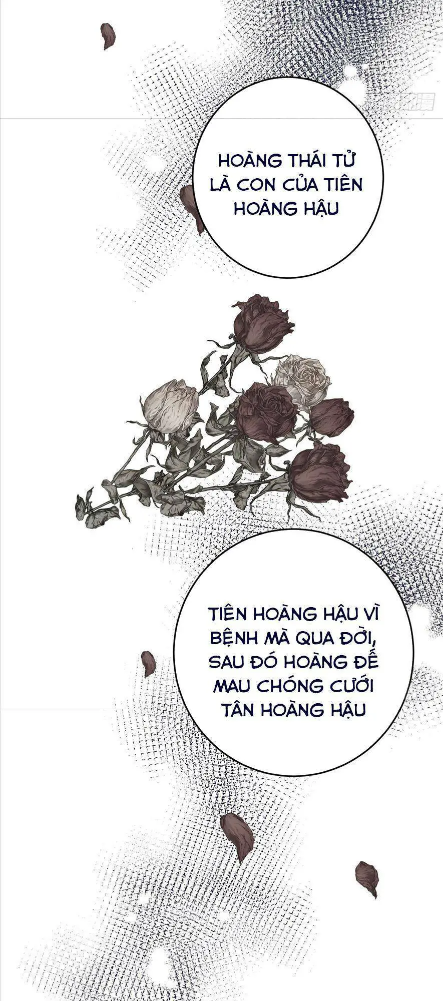 Phù Thuỷ Ác Độc Không Còn Lựa Chọn Nào Khác Ngoài Việc Trở Thành Ác Ma Nettruyen ZZZ Chương 15 Page 17