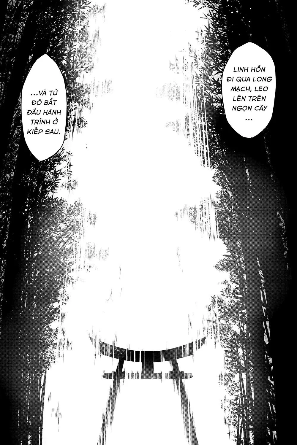 Yozakura Quartet Nettruyen ZZZ Chương 148 Page 26