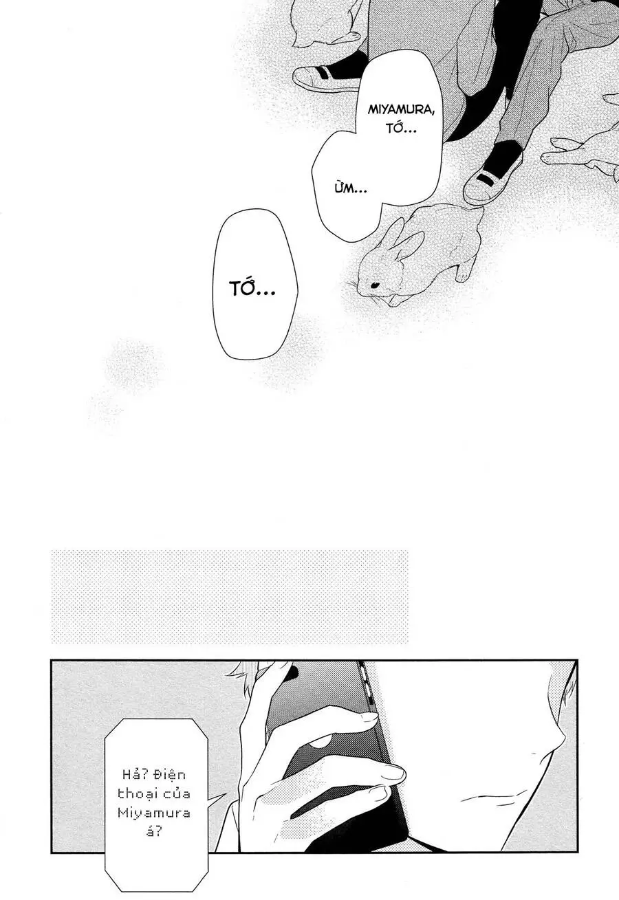 Horimiya Nettruyen ZZZ Chương 55 Page 14