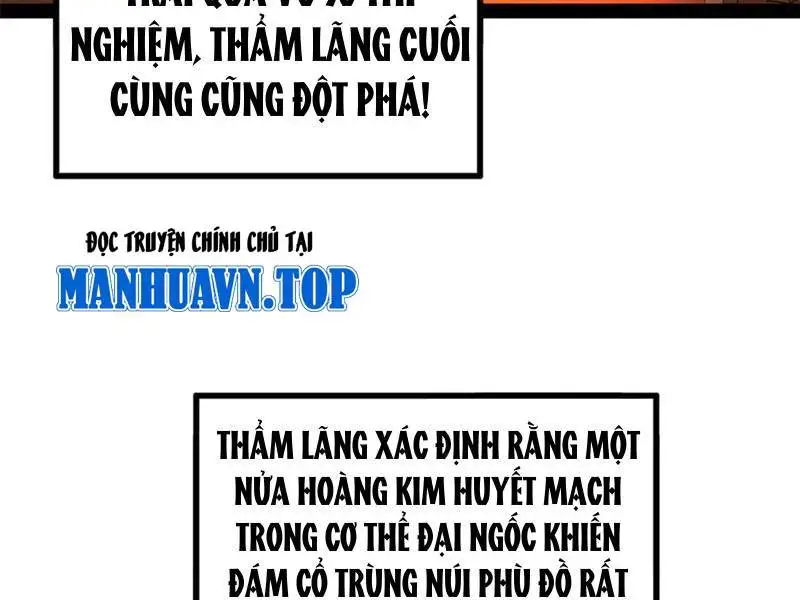 Đại Chúa Tể Nettruyen ZZZ Chương 380 Page 174