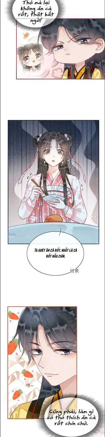 Sổ Tay Công Lược Hắc Liên Hoa Nettruyen ZZZ Chương 76 Page 24
