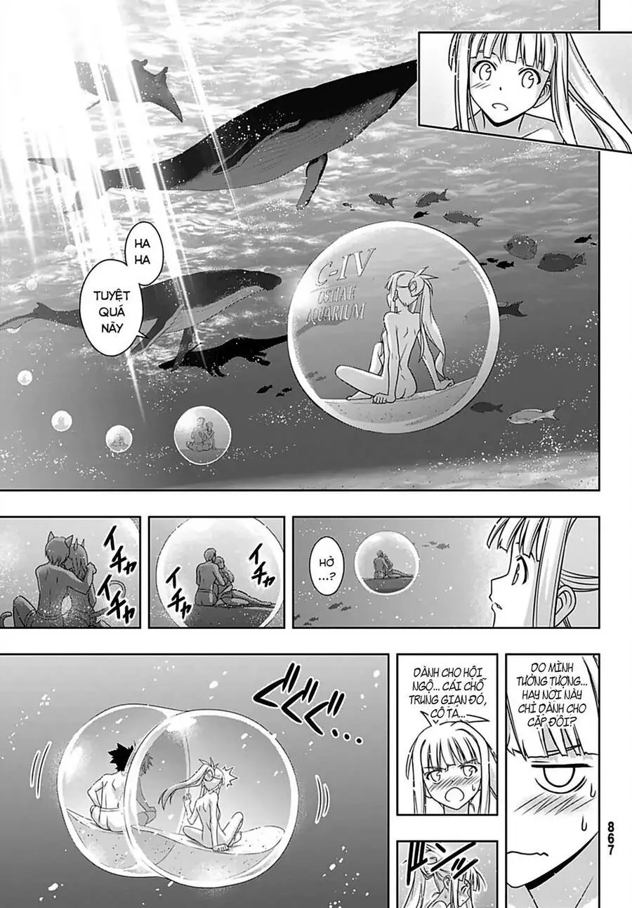 Uq Holder Nettruyen ZZZ Chương 167 Page 44