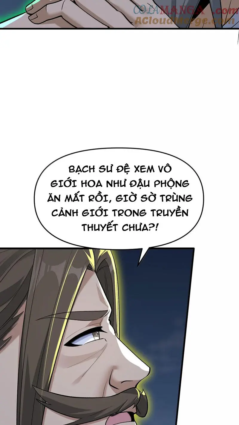 Chặt Củi 10 Năm, Tiên Tử Cầu Xin Ta Thu Nàng Làm Đồ Đệ Nettruyen ZZZ Chương 80 Page 32