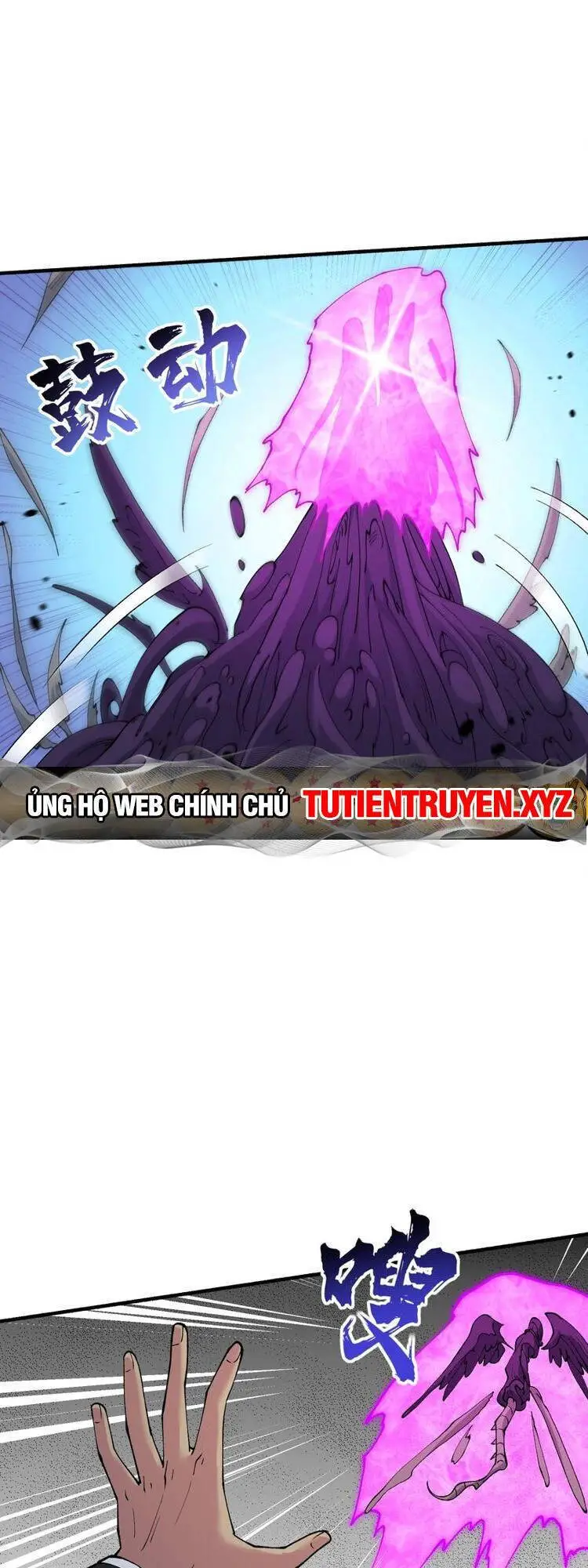 Chặt Củi 10 Năm, Tiên Tử Cầu Xin Ta Thu Nàng Làm Đồ Đệ Nettruyen ZZZ Chương 48 Page 11