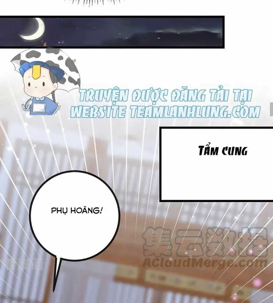 100 Cách Ngược Tra Nữ Nettruyen ZZZ Chương 61 Page 36