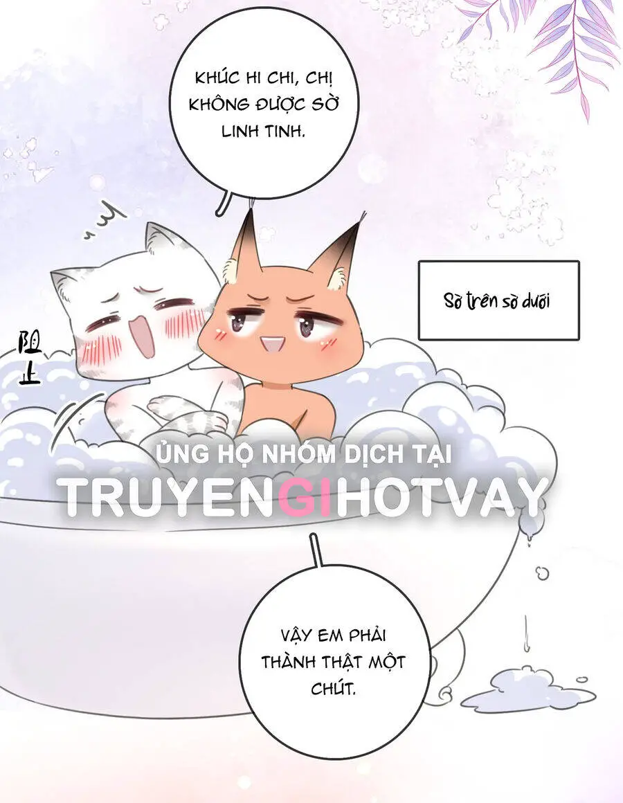 Em Chỉ Có Thể Là Của Tôi Nettruyen ZZZ Chương 88 Page 15
